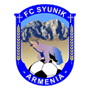 休尼克FC